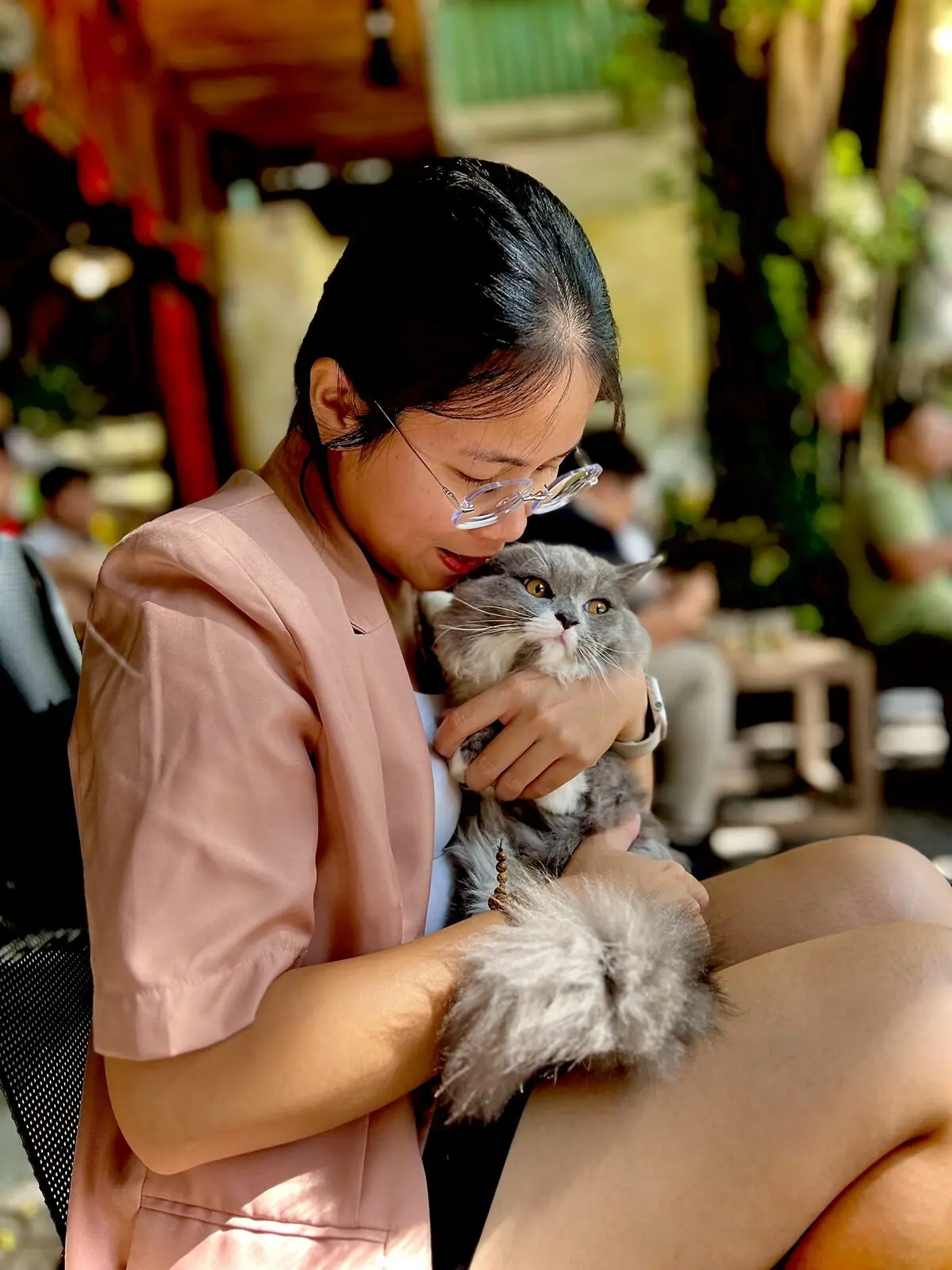 Loo ôm một chú mèo xám lông xù ở quán cà phê