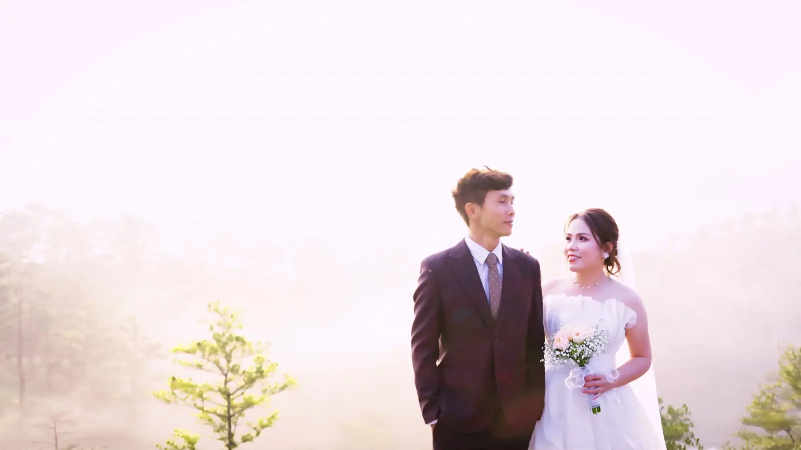 Loo và Boo trong váy cưới và com-lê giữa đồi thông mờ sương