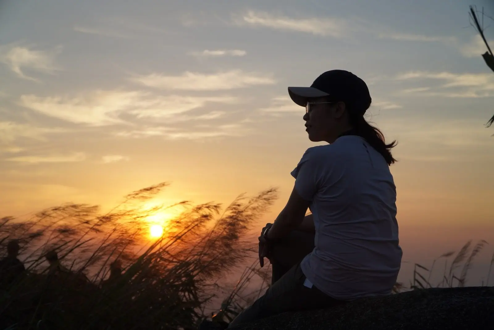 Bóng Loo đội mũ lưỡi trai ngồi giữa cỏ lau lúc hoàng hôn